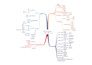 design concept mind map presentation by coggle